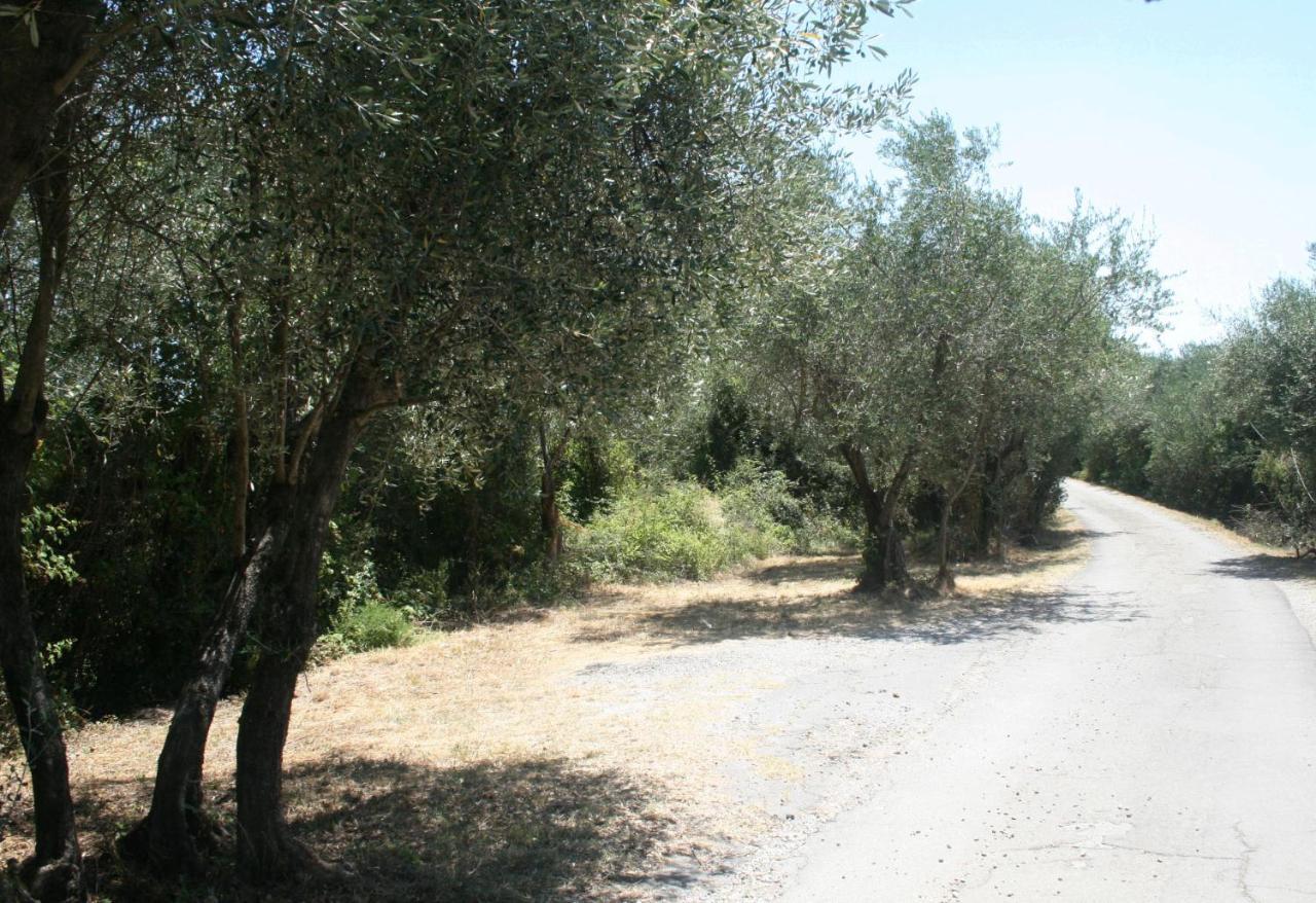 Poderi Lenzi Villa Lucca Eksteriør billede